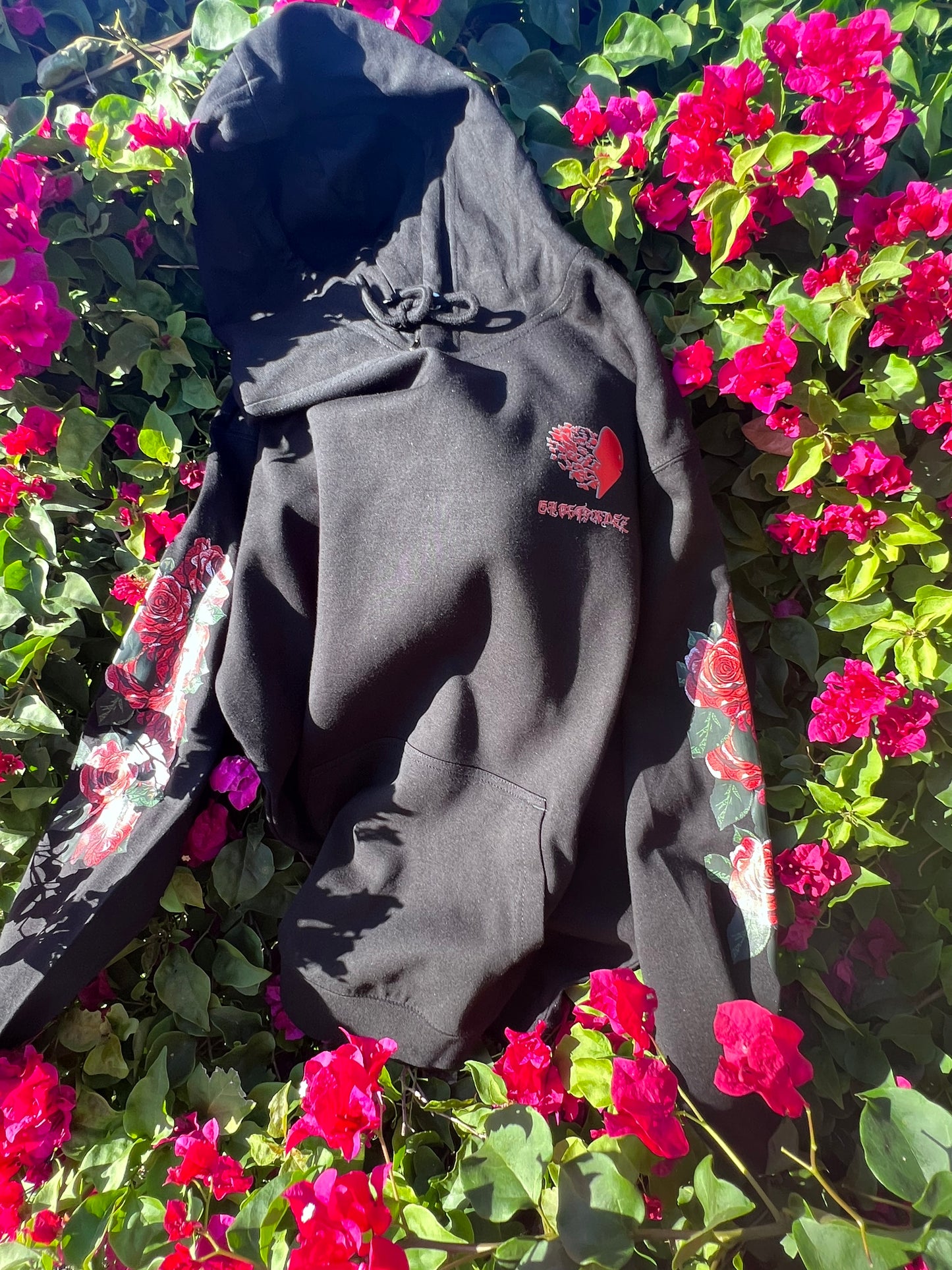 Heaven Angel Hoodie